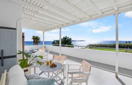 standard double studio 8 standard double studio 8