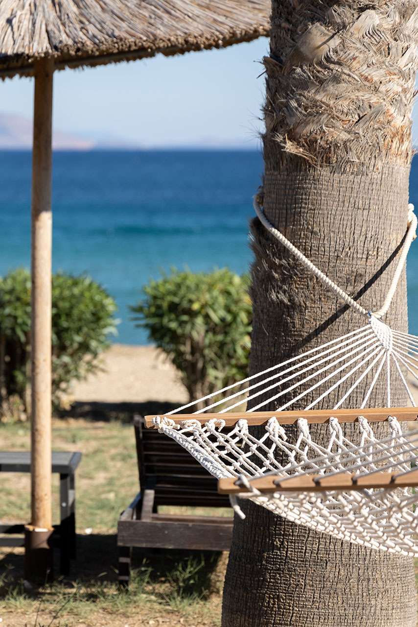 seample studios welcome